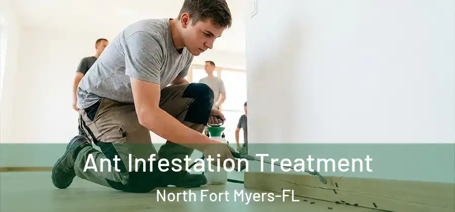 Ant Infestation Treatment North Fort Myers-FL