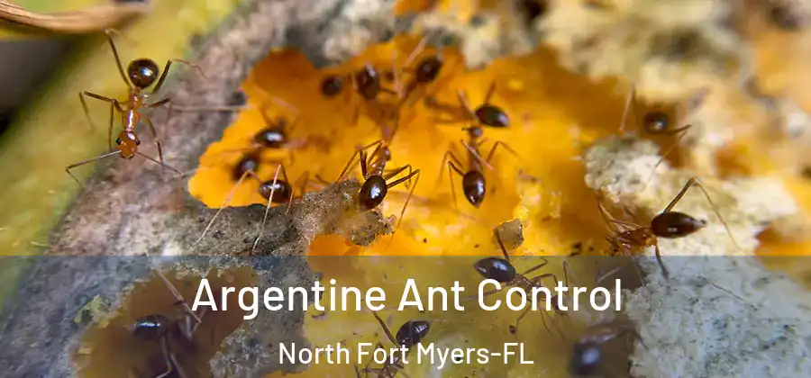 Argentine Ant Control North Fort Myers-FL