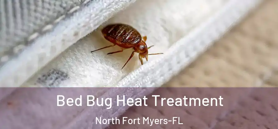 Bed Bug Heat Treatment North Fort Myers-FL