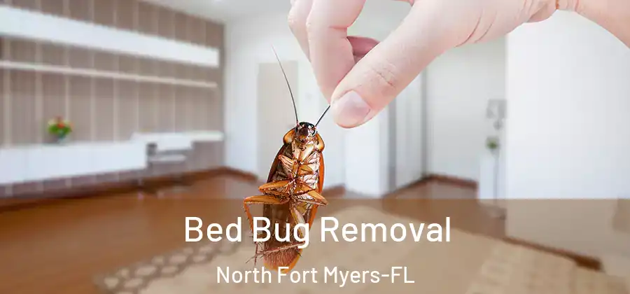 Bed Bug Removal North Fort Myers-FL