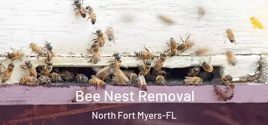 Bee Nest Removal North Fort Myers-FL