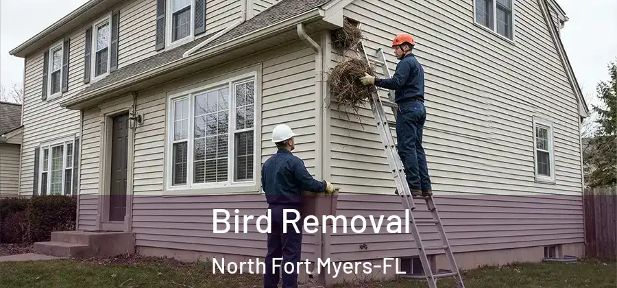 Bird Removal North Fort Myers-FL