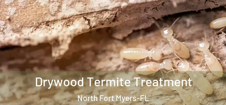 Drywood Termite Treatment North Fort Myers-FL