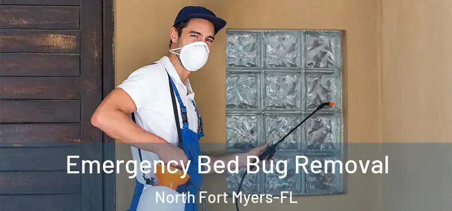 Emergency Bed Bug Removal North Fort Myers-FL