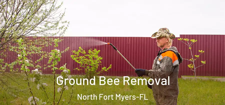 Ground Bee Removal North Fort Myers-FL