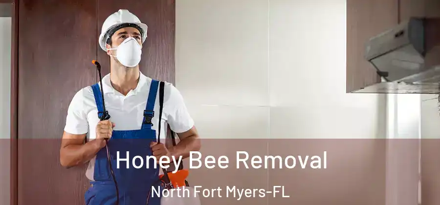 Honey Bee Removal North Fort Myers-FL