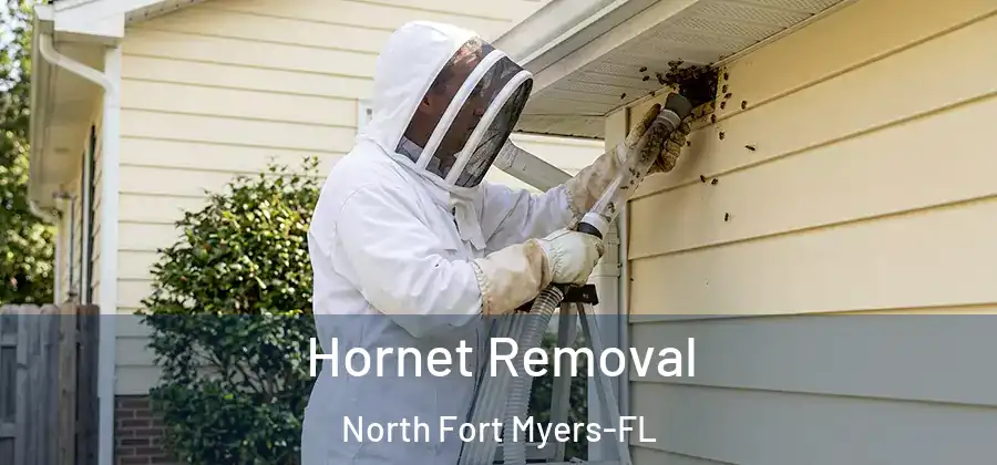 Hornet Removal North Fort Myers-FL