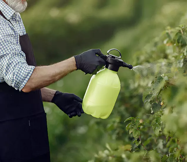 Your Proven Mosquito Treatment Company in North Fort Myers, FL