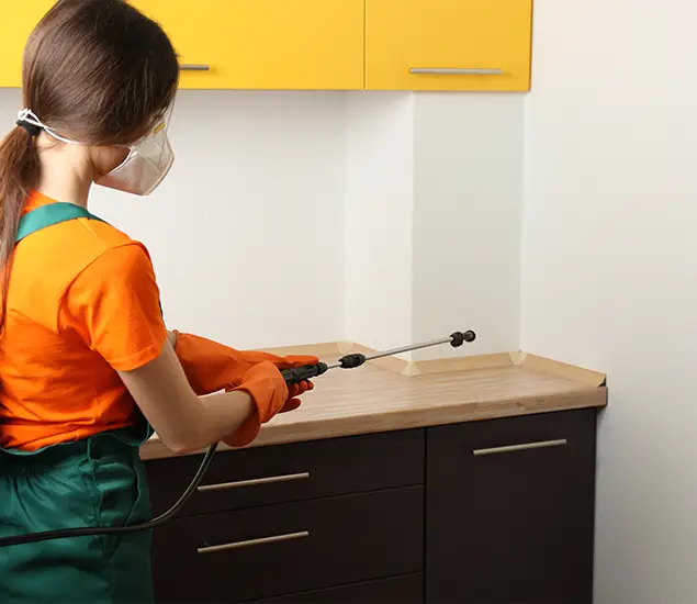 Trusted Bed Bug Pest Control Specialist in North Fort Myers, FL