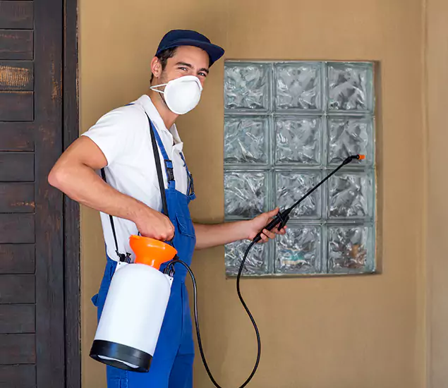 Your Reliable Pest Control in North Fort Myers, FL