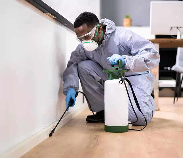 Leading Industrial Pest Control Experts Serving North Fort Myers, FL