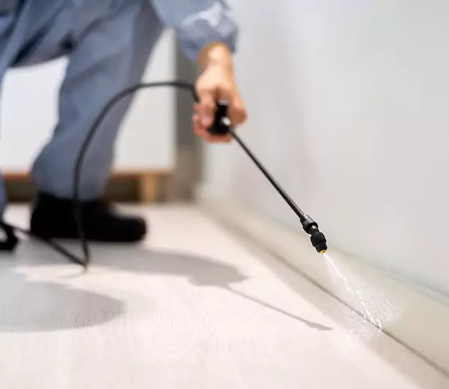 About Our Liquid Termite Treatment Experts in North Fort Myers, FL