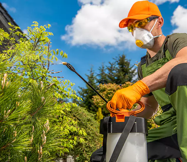 Your Best Bug Spray for Home Team in North Fort Myers, FL