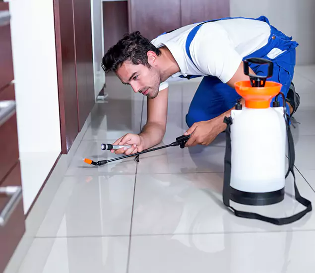 Reliable Professional Mouse Removal: Your Best Mouse Control Company in North Fort Myers, FL