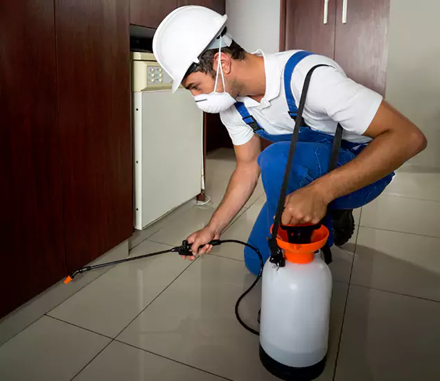 Advanced Termite Pre Treatment Experts in North Fort Myers, FL