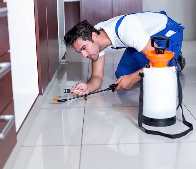 Advanced Slab Termite Treatment Experts You Can Trust&nbsp;in North Fort Myers, FL