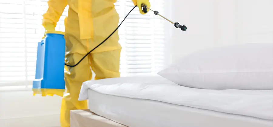Targeted Chemical Application in North Fort Myers