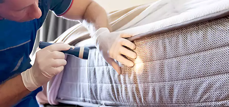 Residential Bed Bug Treatment Cost in North Fort Myers