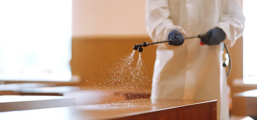Residential Bed Bug Treatment Option in North Fort Myers