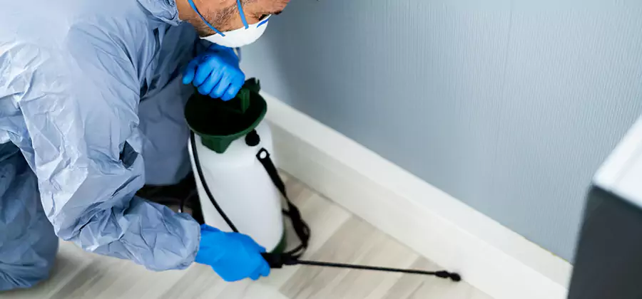 Fumigate Apartment Roaches in North Fort Myers