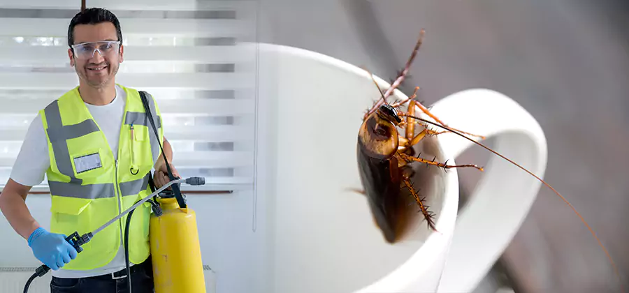 German Roach Infestation Treatment North Fort Myers