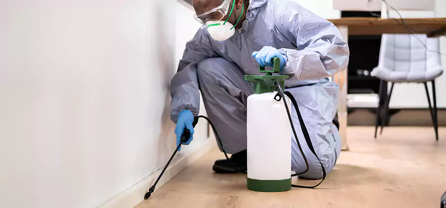 Long Lasting Mosquito Treatment in North Fort Myers