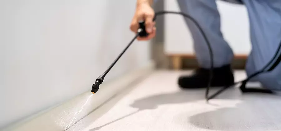 Direct Termite Injection Treatment in North Fort Myers