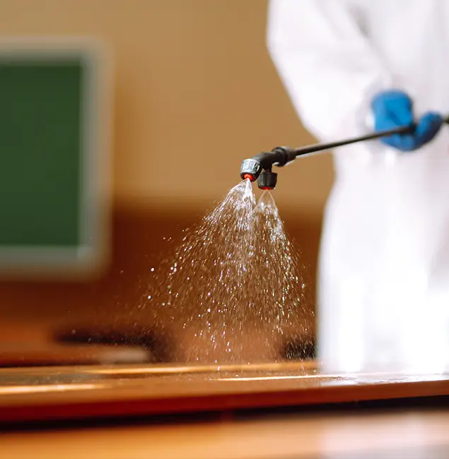 Why Choose North Fort Myers Pest Control Pro for Bed Bug Chemical Treatment in North Fort Myers, FL?