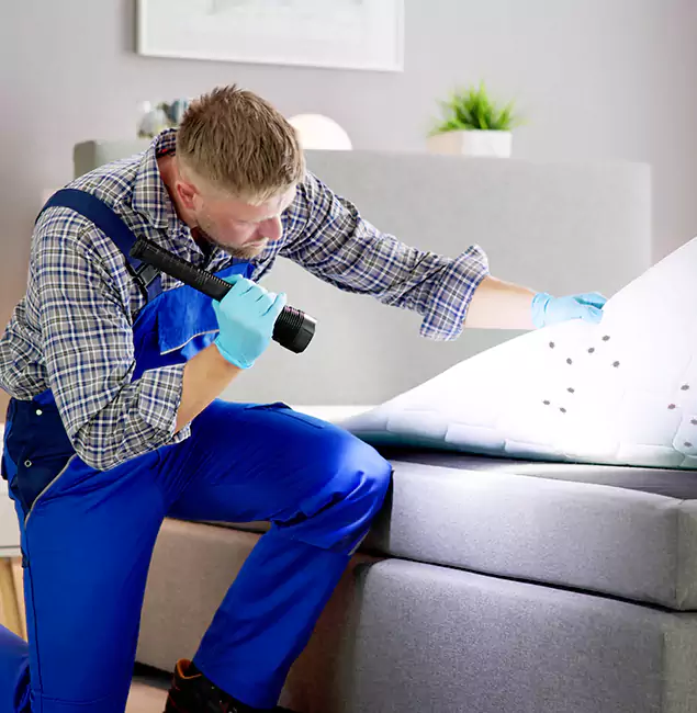 Why Choose North Fort Myers Pest Control Pro for Bed Bug Exterminator Cost in North Fort Myers, FL?