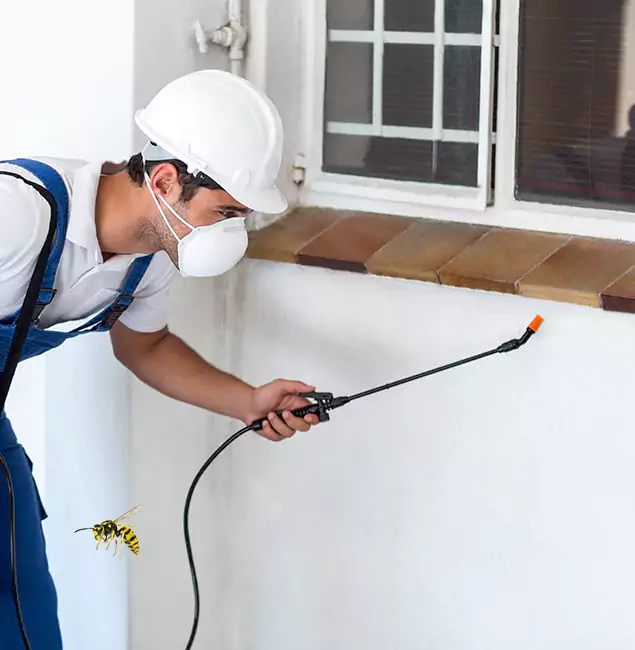 Why North Fort Myers Property Owners Choose North Fort Myers Pest Control Pro for Bee Nest Removal?