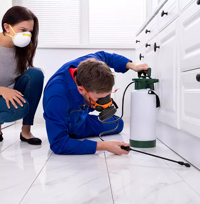 Why North Fort Myers, FL Homeowners Trust North Fort Myers Pest Control Pro for Roach Control?