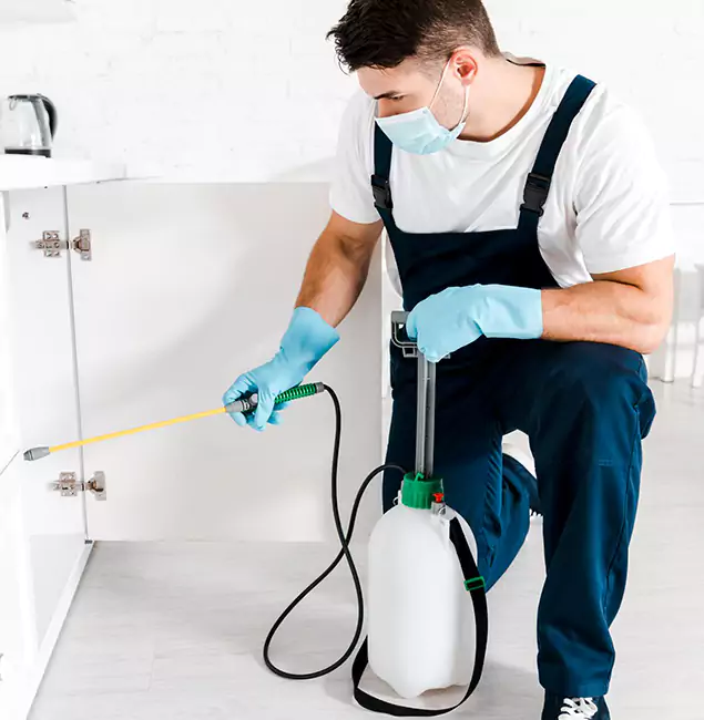 Why Choose North Fort Myers Pest Control Pro for Indoor Pest Control in North Fort Myers, FL?