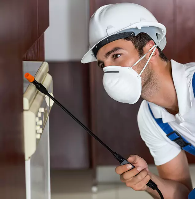 Why North Fort Myers Homeowners Rely on North Fort Myers Pest Control Pro for Tick Treatment?