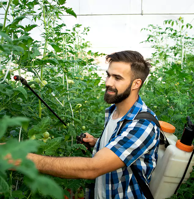 Why North Fort Myers Homeowners Choose North Fort Myers Pest Control Pro for Mosquito Spraying?