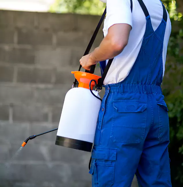 Why North Fort Myers Pest Control Pro Delivers the Best Mosquito Control in North Fort Myers, FL?