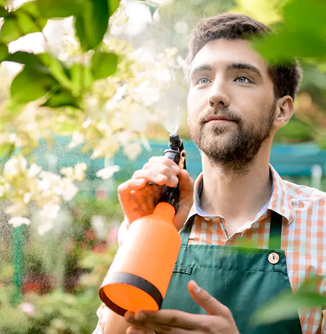 Why North Fort Myers Homeowners Call North Fort Myers Pest Control Pro for Mosquitoes in House?