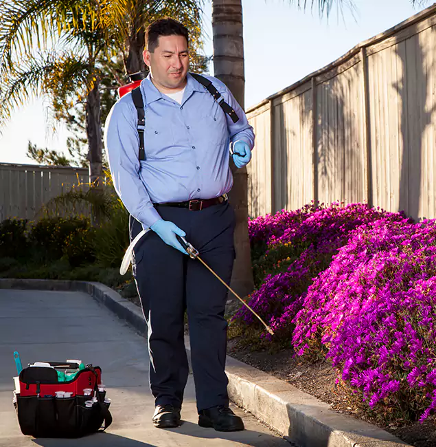 Why Choose North Fort Myers Pest Control Pro in North Fort Myers, FL?
