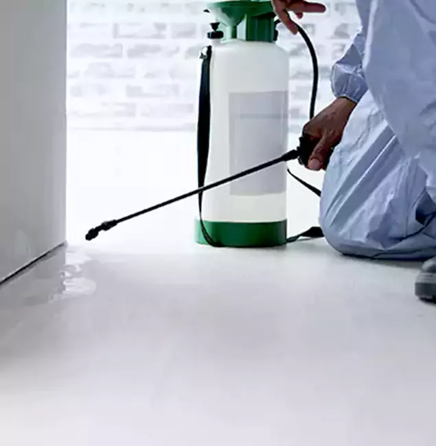 Why Choose North Fort Myers Pest Control Pro for Rat Exterminator in North Fort Myers, FL?