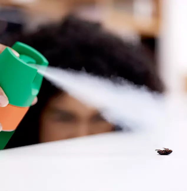 Why North Fort Myers, FL Homeowners Choose North Fort Myers Pest Control Pro for Roach Pest Control?
