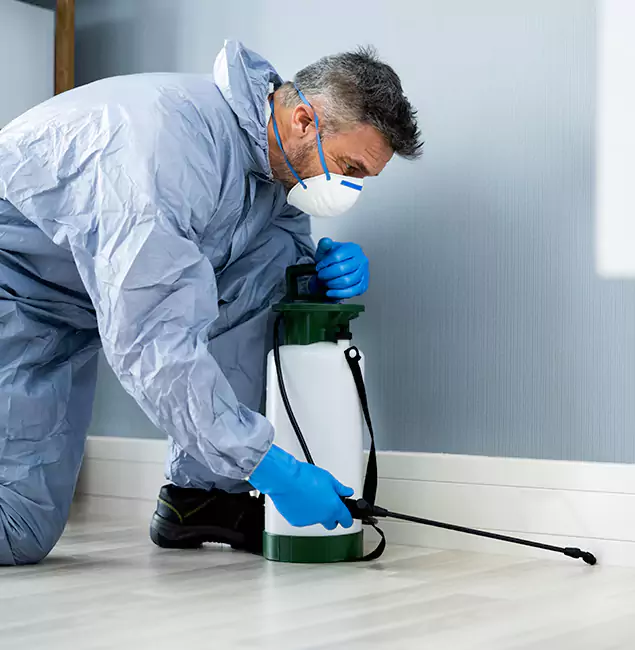 Why Choose North Fort Myers Pest Control Pro for Subterranean Termites Treatment in North Fort Myers, FL?