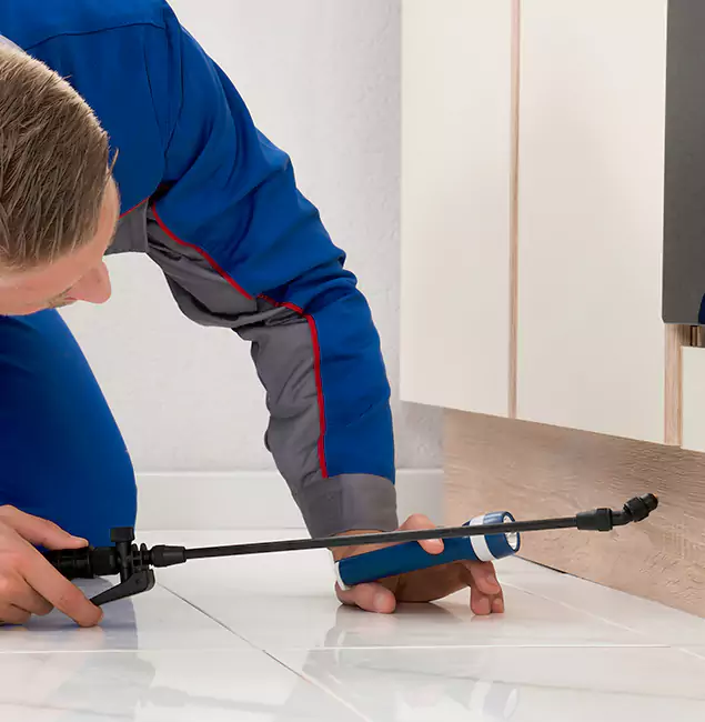 Why North Fort Myers Residents Choose North Fort Myers Pest Control Pro to Get Rid of Sugar Ants?