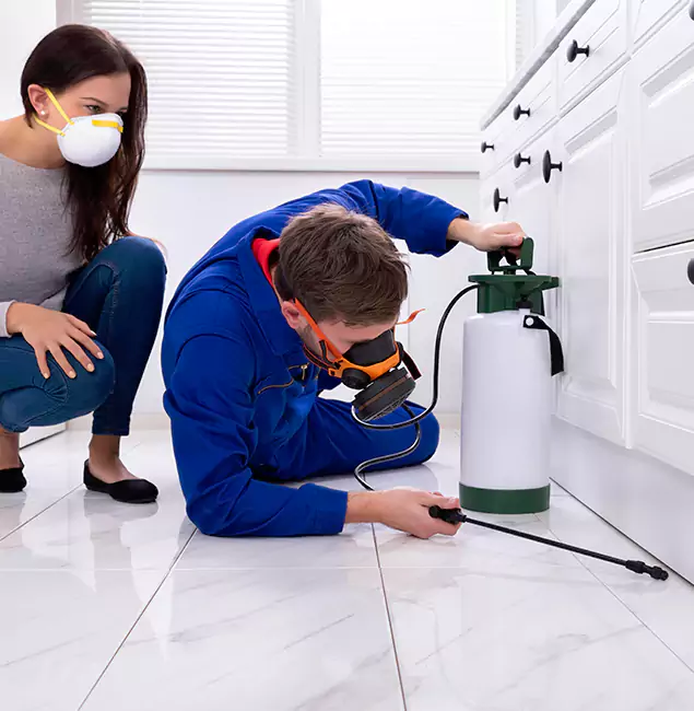 Why Choose North Fort Myers Pest Control Pro for Termite Inspection Cost in North Fort Myers, FL?