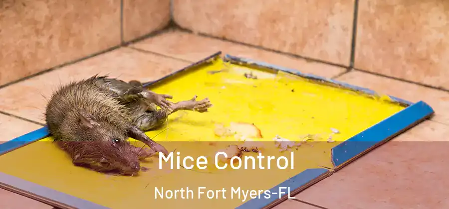 Mice Control North Fort Myers-FL