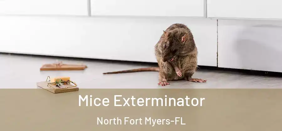 Mice Exterminator North Fort Myers-FL