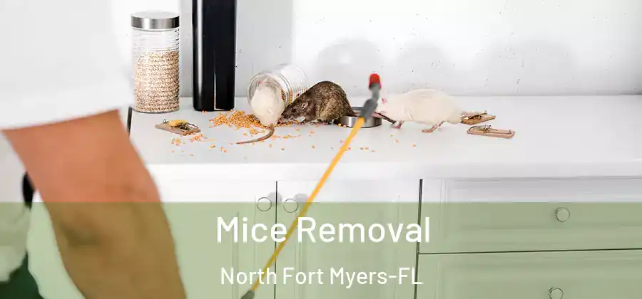 Mice Removal North Fort Myers-FL