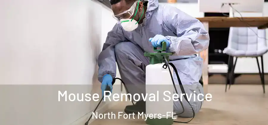 Mouse Removal Service North Fort Myers-FL