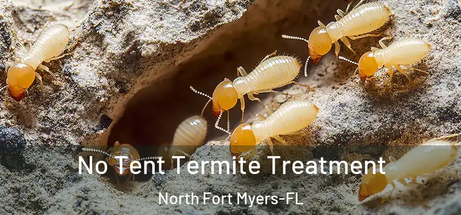  No Tent Termite Treatment North Fort Myers-FL