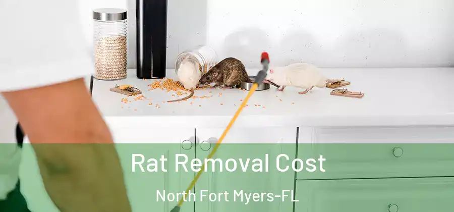 Rat Removal Cost North Fort Myers-FL