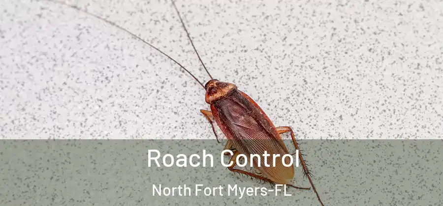 Roach Control North Fort Myers-FL