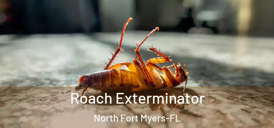 Roach Exterminator North Fort Myers-FL